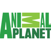 animal_planet